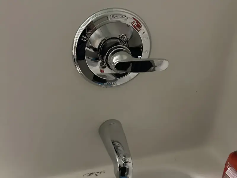New tub and shower valve trim and spout