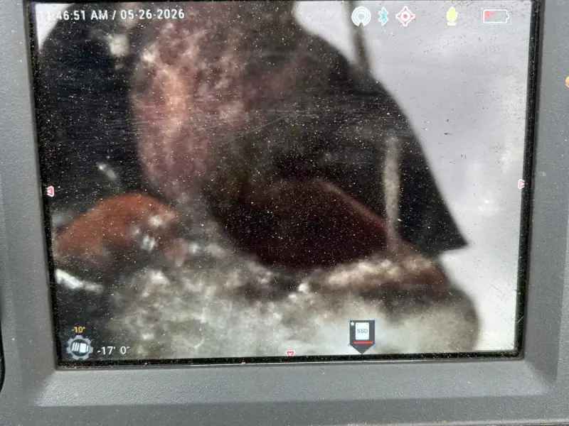 Sewer camera showing a broken section of old sewer pipe