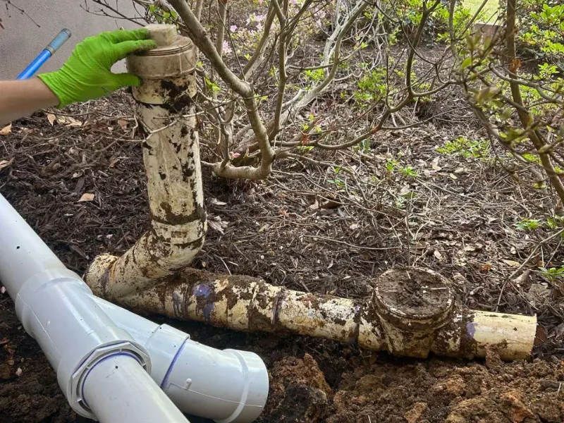 Old, root-damaged sewer cleanout beside new PVC fittings