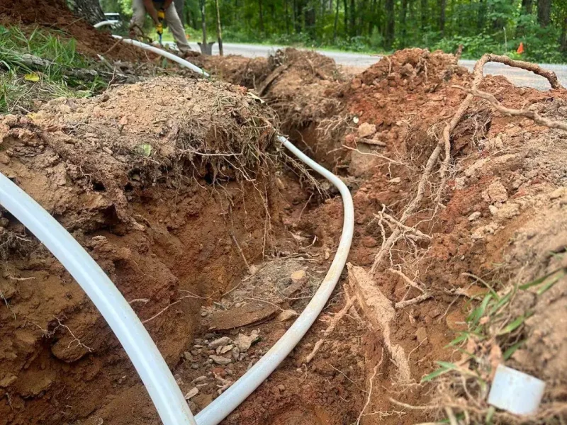Tree roots wrapped around an old sewer pipe in a trench